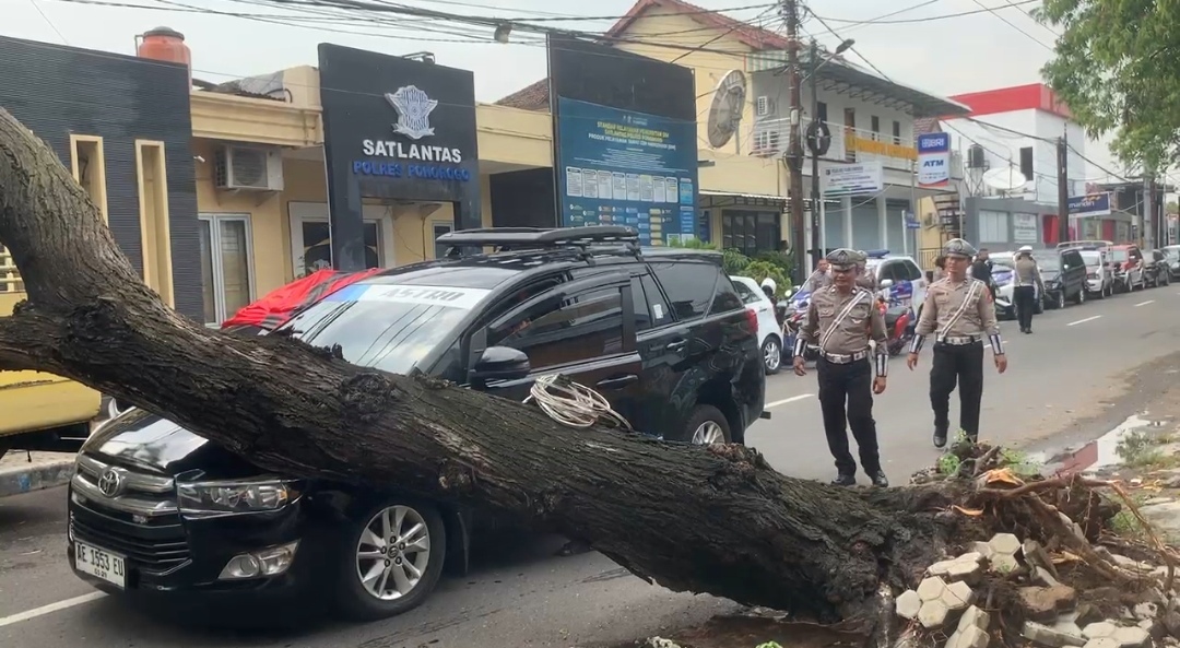 Pohon Tumbang di Depan Mapolres Ponorogo, Satu Mobil Innova Rusak Parah