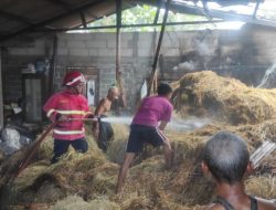 Niat Bakar Sampah! Rumah Suyanti di Tulungagung Malah Terbakar