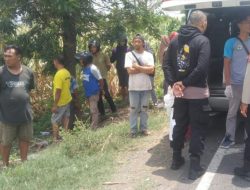 Kecelakaan Maut Bus Bagong di Tulungagung, Warga Temukan Jasad Perempuan di Sawah