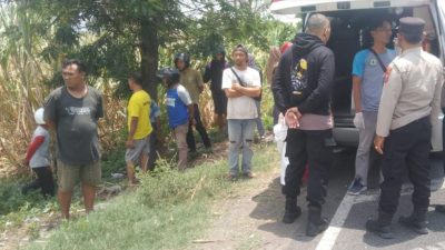 Kecelakaan Maut Bus Bagong di Tulungagung, Warga Temukan Jasad Perempuan di Sawah
