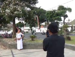 Pohon Tabebuya Bermekaran di Alun-alun Jombang dengan Begitu Indah, Warga Menikmati Sambil Berfoto