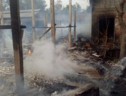 Kandang Ternak Terbakar di Tulungagung, Warga Sigap Selamatkan Hewan Ternak