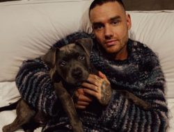 Liam Payne Mantan Penyanyi One Direction Tewas Setelah Terjatuh dari Balkon Hotel