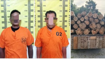 Dua Pelaku Pencurian Kayu Jati Milik Perhutani Tulungagung Ditangkap