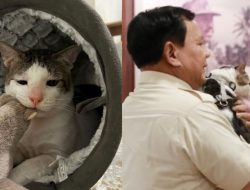 5 Fakta Menarik Bobby Kertanegara yang Curi Perhatian Warganet, Dapat Julukan Kucing Sultan!