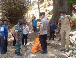 Hendak Cari Pakan Ternak, Pria di Ponorogo Tewas Setelah Terjatuh dari Pohon 20 Meter