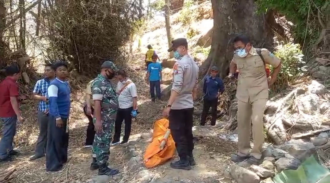 Hendak Cari Pakan Ternak, Pria di Ponorogo Tewas Setelah Terjatuh dari Pohon 20 Meter