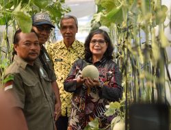 Petik Melon di P4S Langgeng Mazaya Kelurahan Pakunden, Pj Wali Kota Kediri: Sejalan dengan Program Presiden Prabowo Tentang Kemandirian Pangan