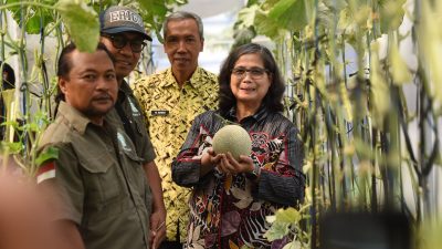 Petik Melon di P4S Langgeng Mazaya Kelurahan Pakunden, Pj Wali Kota Kediri: Sejalan dengan Program Presiden Prabowo Tentang Kemandirian Pangan