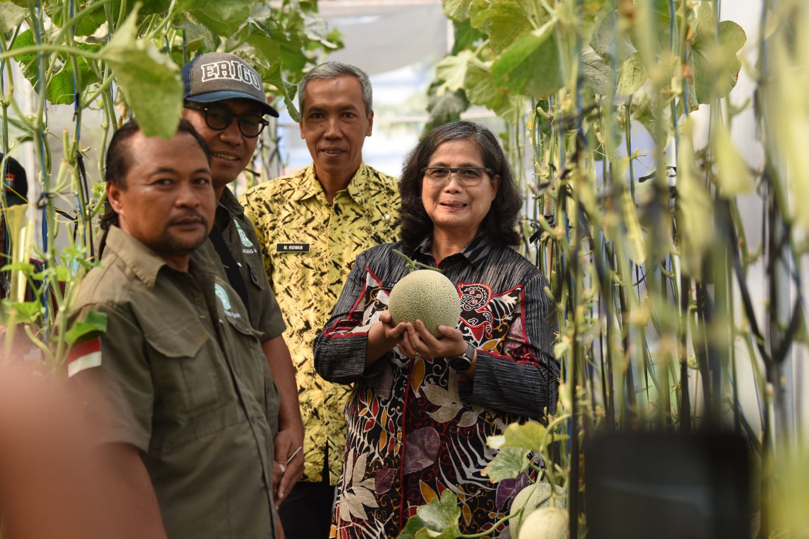 Petik Melon di P4S Langgeng Mazaya Kelurahan Pakunden, Pj Wali Kota Kediri: Sejalan dengan Program Presiden Prabowo Tentang Kemandirian Pangan