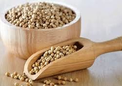 Manfaat Biji Ketumbar untuk Kesehatan Tubuh, Ini Penjelasan Dokter Herbal