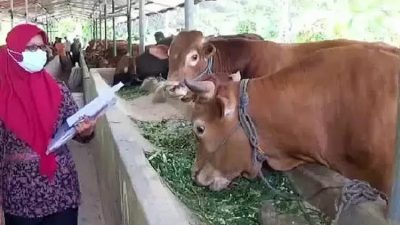 Ketersediaan Daging dan Pangan di Akhir Tahun Kabupaten Kediri Cukup Memadai