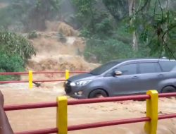 Bencana Alam Berturut-turut di Trenggalek: Banjir, Longsor, dan Pohon Tumbang Picu Kekhawatiran