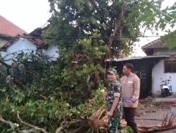 Angin Puting Beliung Rusak 24 Rumah Warga di Karangan, Trenggalek, Ini Infonya