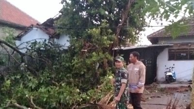 Angin Puting Beliung Rusak 24 Rumah Warga di Karangan, Trenggalek