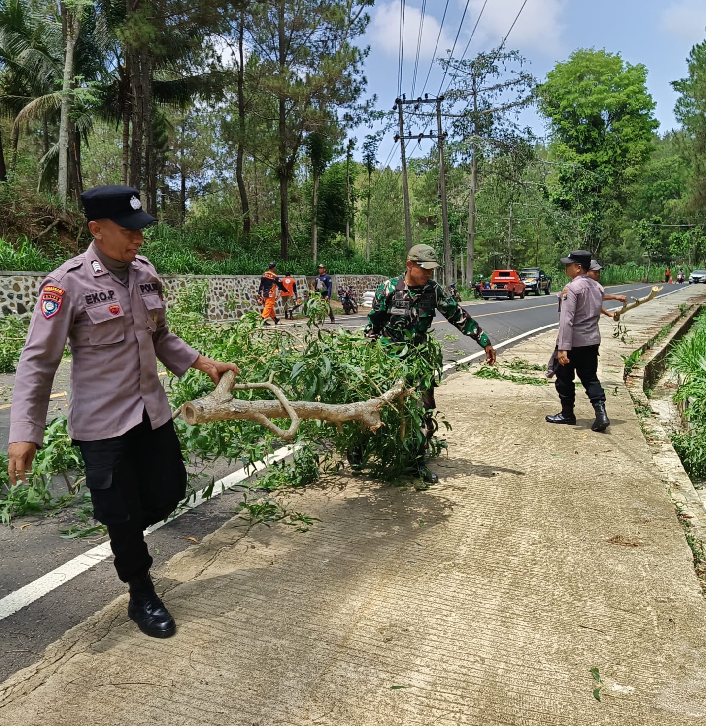 Antisipasi Bencana Hidrometeorologi, Trenggalek Sterilisasi Puluhan Pohon Lapuk di Jalur Nasional Arah Pacitan