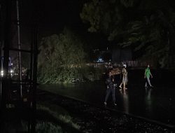 Warga Karangsoko, Trenggalek Tewas Tertimpa Pohon Saat Hujan Deras dan Angin Kencang, Begini Ceritanya