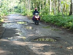 Sekitar 28 Persen Jalan di Trenggalek Rusak, Perbaikan Butuh Rp 250 Miliar