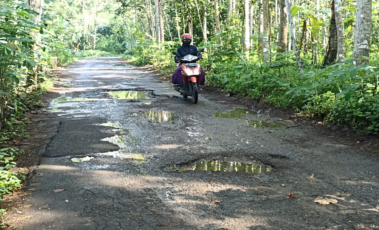 28 Persen Jalan di Trenggalek Rusak, Perbaikan Butuh Rp 250 Miliar