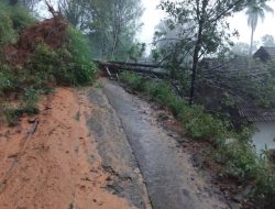 Pohon Tumbang dan Longsor di Trenggalek Rusak Rumah hingga Lumpuhkan Akses Jalan