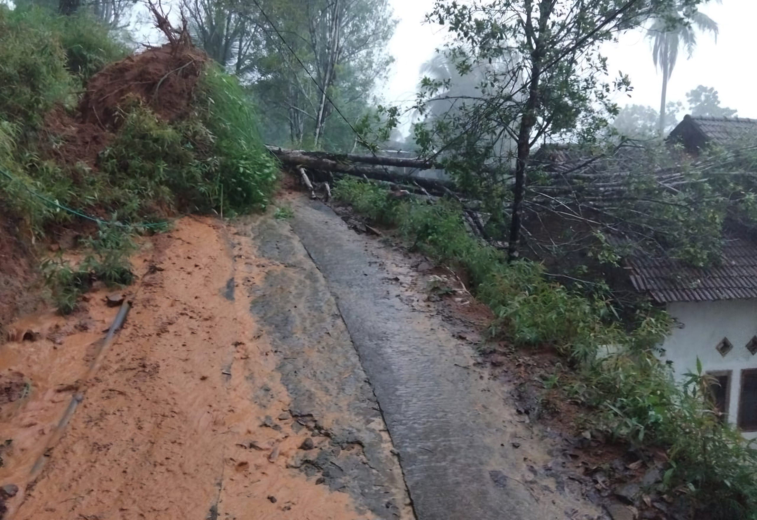 Pohon Tumbang dan Longsor di Trenggalek Rusak Rumah hingga Lumpuhkan Akses Jalan