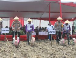 Dukung Program Asta Cita, Polda Jatim Tanam Jagung untuk Ketahanan Pangan