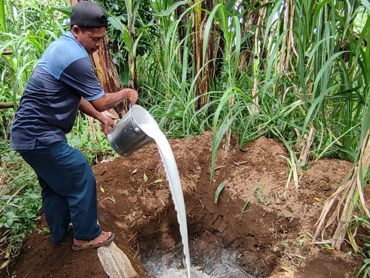 Peternak Sapi di Boyolali Gelar Protes, Kondisi di Ponorogo Stabil