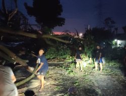 Hujan dan Angin Kencang di Plosoklaten Rusak Dua Rumah dan Tumbangkan Pohon