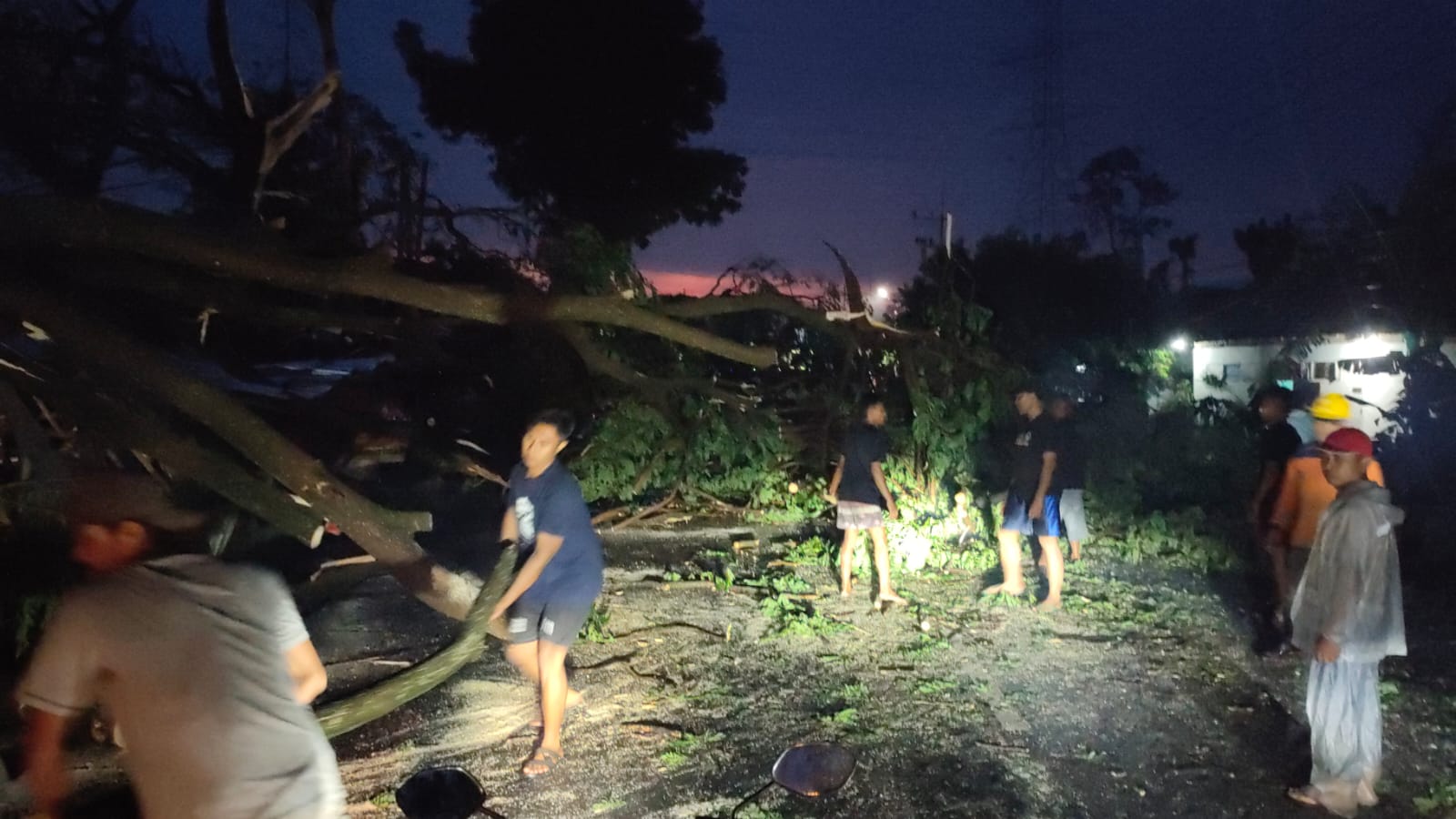 Hujan dan Angin Kencang di Plosoklaten Rusak Dua Rumah dan Tumbangkan Pohon