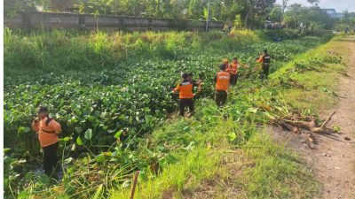 5 Wilayah Rawan Banjir di Tulungagung Dapat Perhatian Khusus dari BPBD