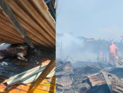 Si Jago Merah Lahap Kandang Ternak Kambing di Kota Batu, Dua Ternak Tewas Terpanggang