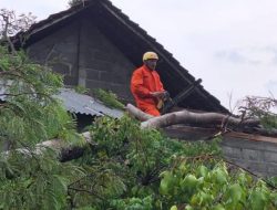 95 Rumah Rusak Akibat Angin Puting Beliung, BPBD Tulungagung Beri Bantuan