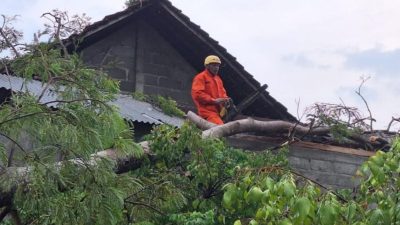 95 Rumah Rusak Akibat Angin Puting Beliung, BPBD Tulungagung Beri Bantuan