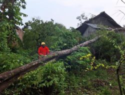 BPBD Tulungagung Tetapkan Status Siaga untuk Antisipasi Bencana Hidrometeorologi