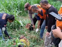 Berpamitan Mencari Rumput, Pria Lansia Ditemukan Meninggal di TPA Segawe Tulungagung!
