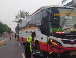 Tragis! Bus Harapan Jaya Tabrak Pemotor di Tulungagung Hingga Tewas