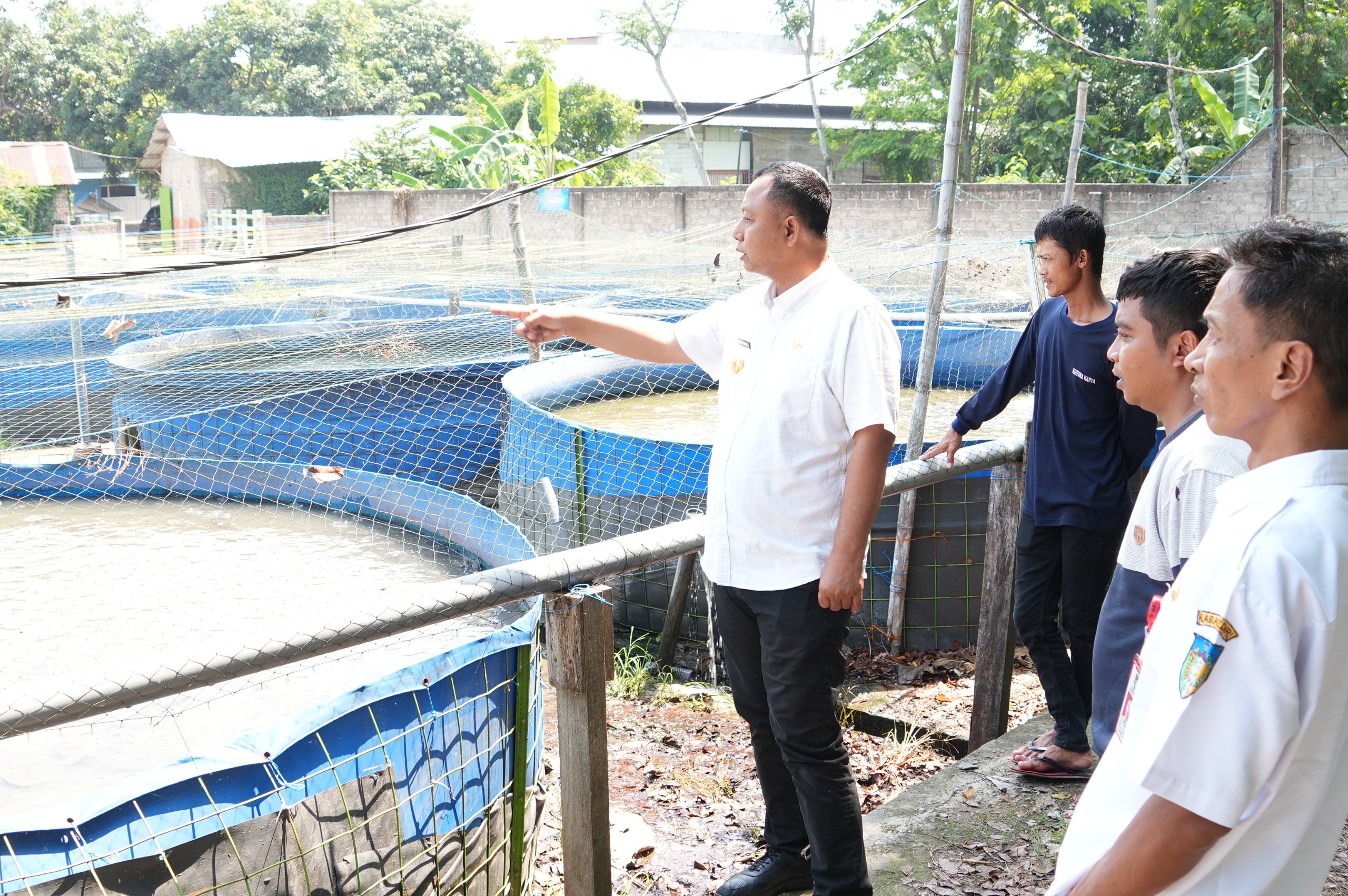 Pjs Bupati Kediri Dorong Penguatan Nilai Jual Lele Saat Mengunjungi Dua Produsen Ikan Lele