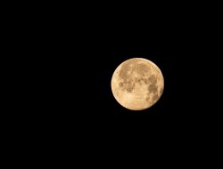 Mengenal Beaver Moon, Supermoon Terakhir yang Akan Terjadi Hari Ini