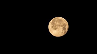 Mengenal Beaver Moon, Supermoon Terakhir yang Akan Terjadi Hari Ini