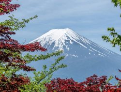 HEBOH! Puncak Gunung Fuji Tak Bersalju, Pertama Setelah 130 Tahun!