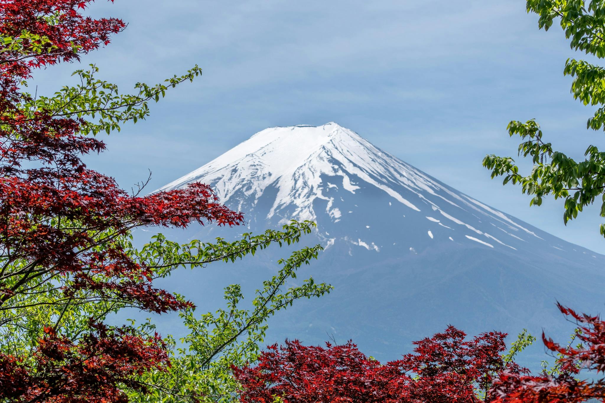 HEBOH! Puncak Gunung Fuji Tak Bersalju, Pertama Setelah 130 Tahun!