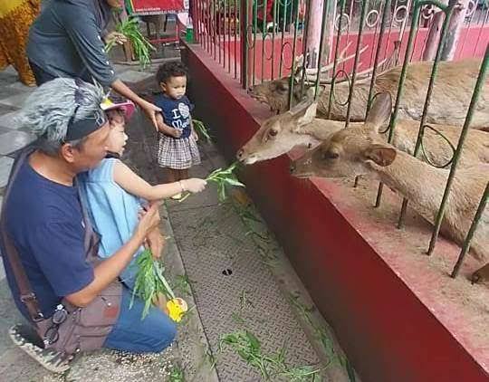 Satwa Kebonrojo Akan Dipindahkan ke Eco Park Joko Pangon, Ini Jenisnya