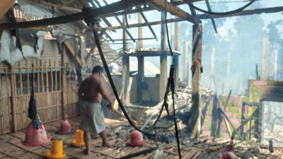 Kandang Ayam di Kanigoro Blitar Terbakar , Ribuan Anak Ayam Mati, Rugi Capai Rp 500 Juta