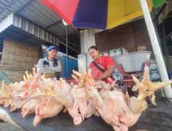 Menjelang Nataru! Harga Telur dan Daging Ayam di Tulungagung Melonjak Tinggi