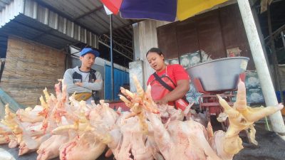 Menjelang Nataru! Harga Telur dan Daging Ayam di Tulungagung Melonjak Tinggi