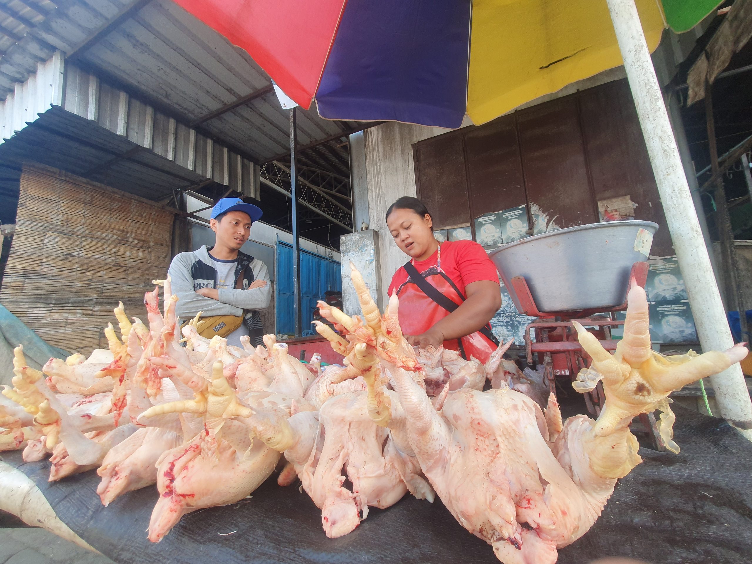 Menjelang Nataru! Harga Telur dan Daging Ayam di Tulungagung Melonjak Tinggi