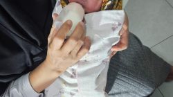 Heboh! Bayi Perempuan Ditemukan dalam Kardus di Perkebunan Warga Trenggalek