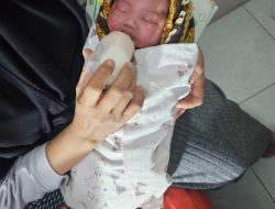 Heboh! Bayi Perempuan Ditemukan dalam Kardus di Perkebunan Warga Trenggalek