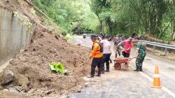 Longsor Tutup Akses Jalan Trenggalek–Pacitan, Warga Diminta Siaga