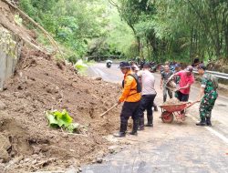 Longsor Tutup Akses Jalan Trenggalek–Pacitan, Warga Diminta Siaga